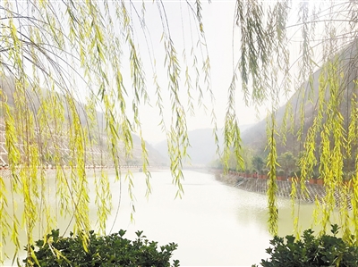中国情形报：守护三秦大地绿水青山——平博集团建设以来，，，，，，成为陕西污染防治的排头兵