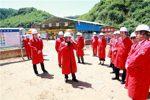 平博集团复工复产促增添项目观摩聚会与会职员走进环保保隆生态三秦在延在铜项目